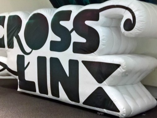 Cross-linx Festival - Eindhoven, 02.03.2018