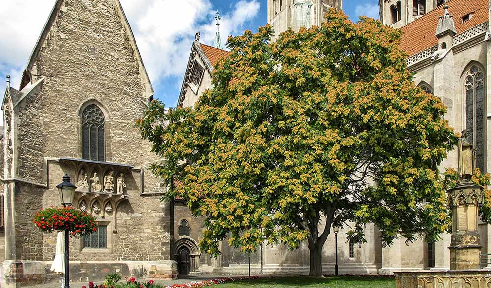 Naumburg - Dom